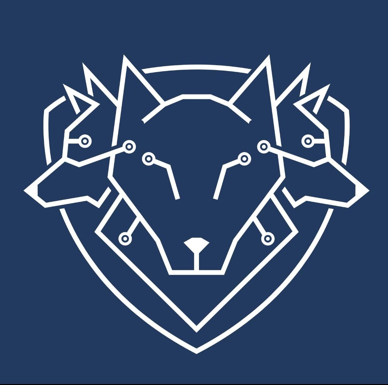 company_logo